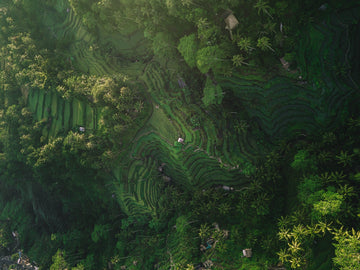 End Extreme Poverty, Increase Environmental Sustainability
