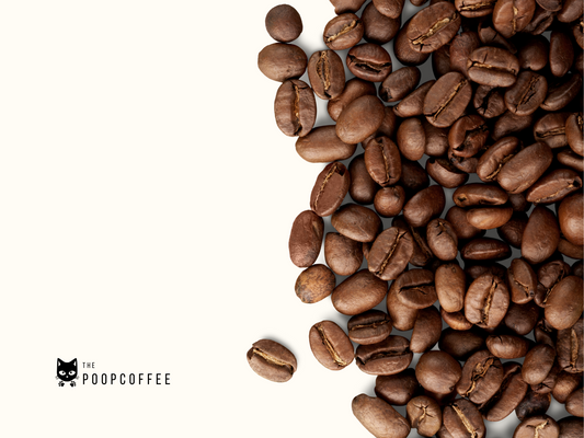 The Poop Coffee whole beans with branded black cat logo visible in corner, showcasing ethical civet coffee that provides premium kopi luwak flavour profile through sustainable weasel coffee methods.