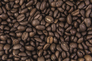 The Art of Panama's Coffee: A Legacy of Excellence