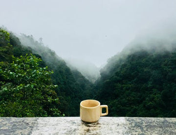From Farm to Cup: Inside Vietnam's Coffee Legacy