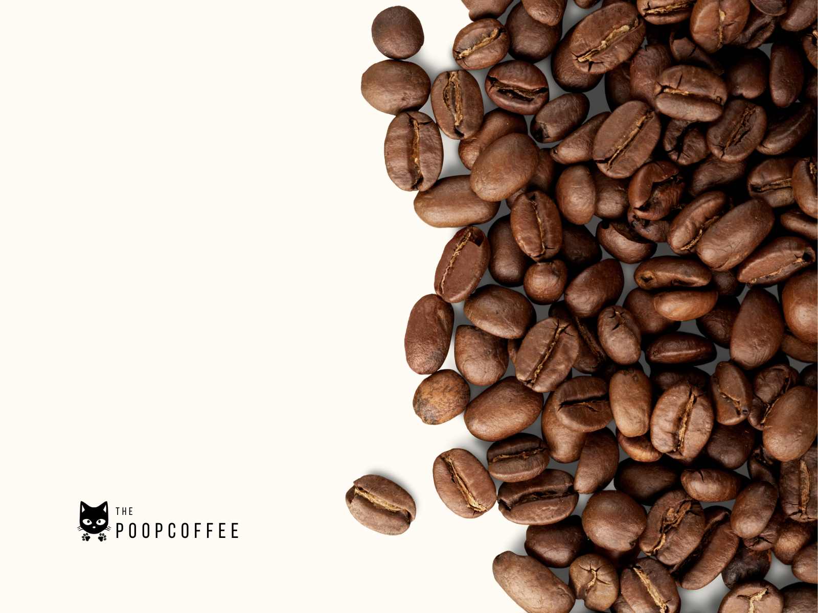 The Poop Coffee whole beans with branded black cat logo visible in corner, showcasing ethical civet coffee that provides premium kopi luwak flavour profile through sustainable weasel coffee methods.