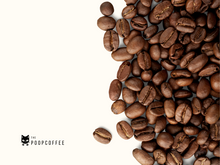 将图片加载到图库查看器，Thepoopcoffee - Whole Beans - Kopi Luwak